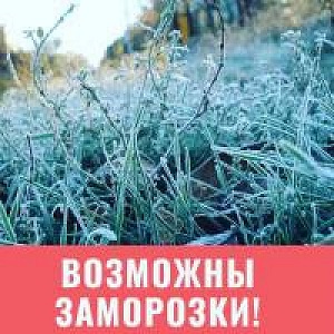 Прогноз метрологической обстановки.