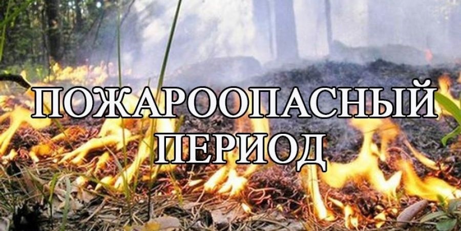 Прогноз метеорологической обстановки.