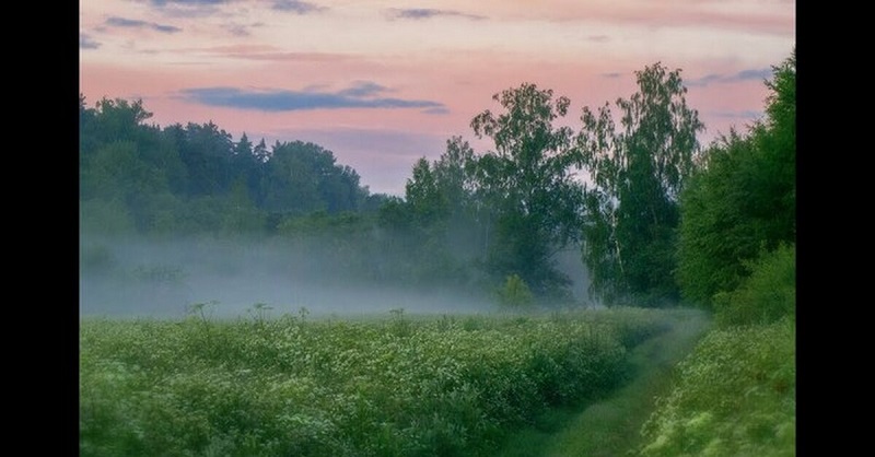 Прогноз метрологической обстановки.