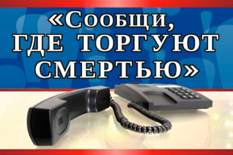 Акция «Сообщи, где торгуют смертью!». Акция «Сообщи, где торгуют смертью!».